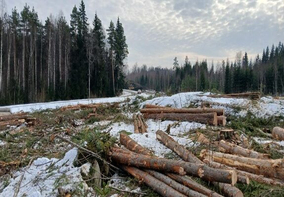 3 E Network Announces Progress Update on Finland AI Data Centre Project: Site Clearance Completed and Earthworks Underway